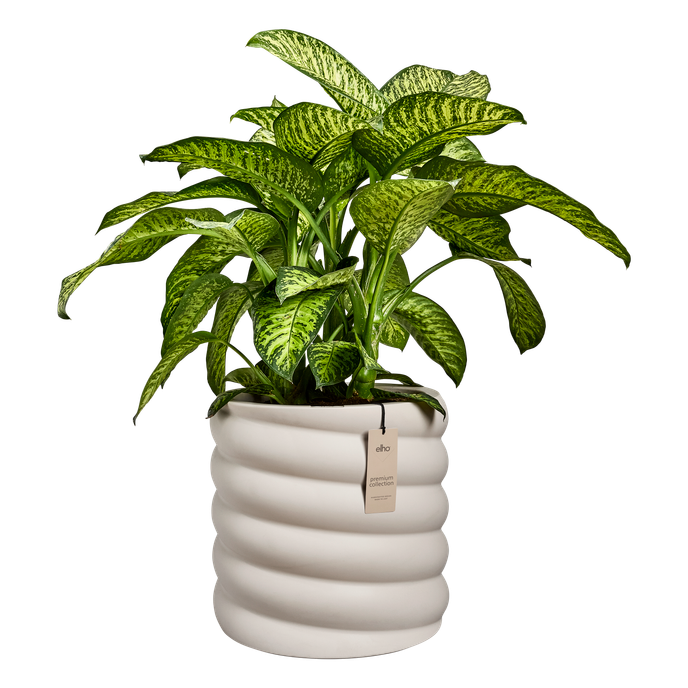 swirl 47cm linen white